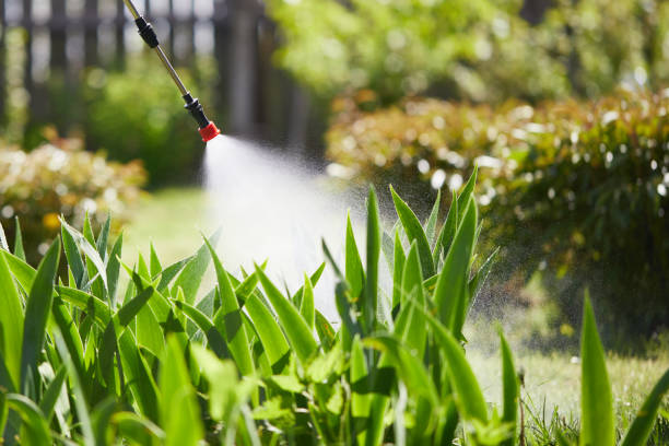 Tamper-Resistant Bait Stations for Rodents in Bryson City