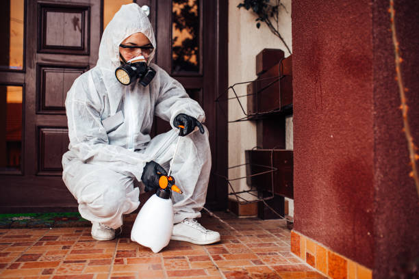 Attic and Crawl Space Rodent Treatment in Bryson City