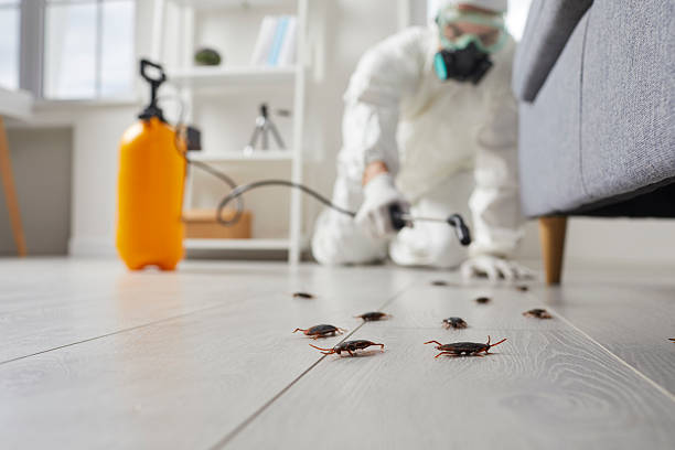 Commercial Rodent Management in Bryson City